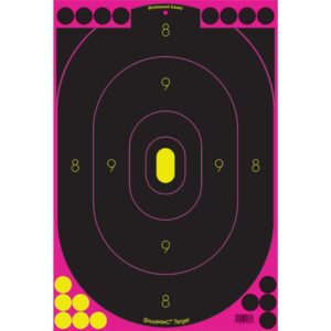 Birchwood Casey Shoot-N-C Pink Reactive Targets 12"x18" 5/ct