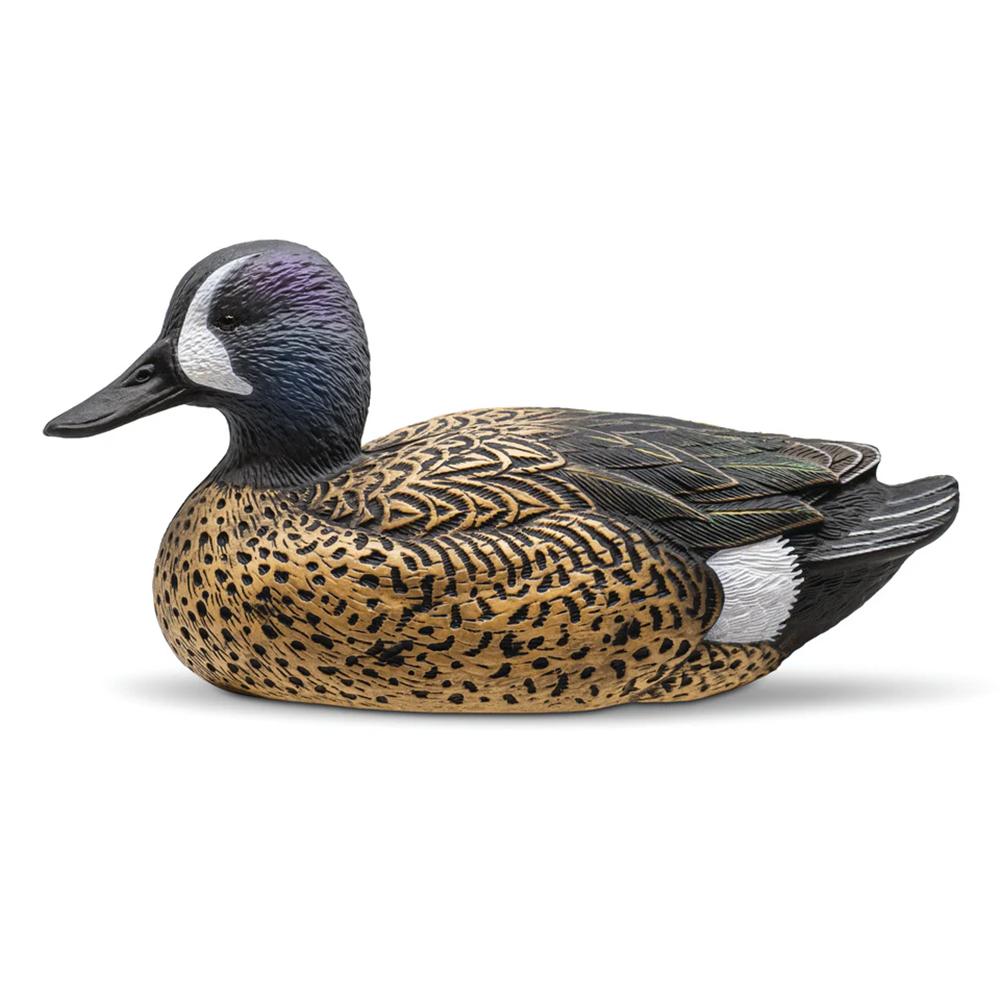 Rig'Em Right Blue-Winged Teal Duck Decoy 12-Pack