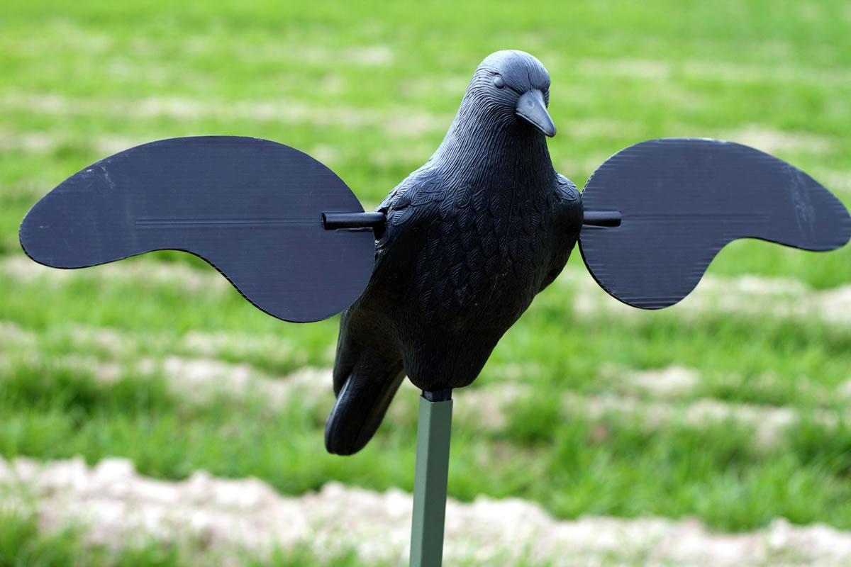 MOJO Motion Crow Decoy with Magnetic Wings