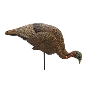 MOJO Feeder/Breeder Hen Turkey Decoy - 3-in-1 Design