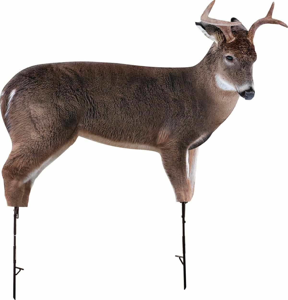 Montana Decoy Freshman Buck Hunting Decoy