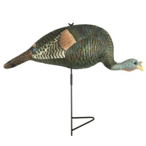 Grind Bugging Hen Turkey Decoy by Rock Ridge Outdoors
