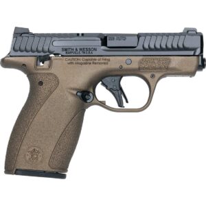 Smith & Wesson M&P Bodyguard 2.0 .380 Auto Pistol