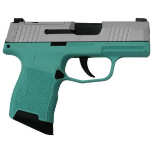 Sig Sauer P365 Silver Slide 9mm Handgun