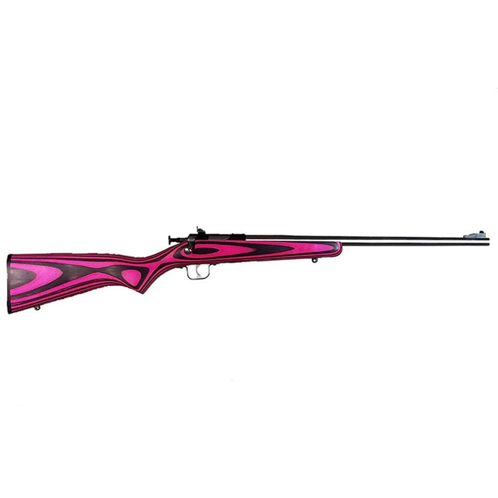 Keystone Crickett .22 LR Stainless Youth Rifle