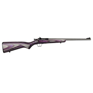 Keystone Crickett .22LR Stainless Youth Rifle