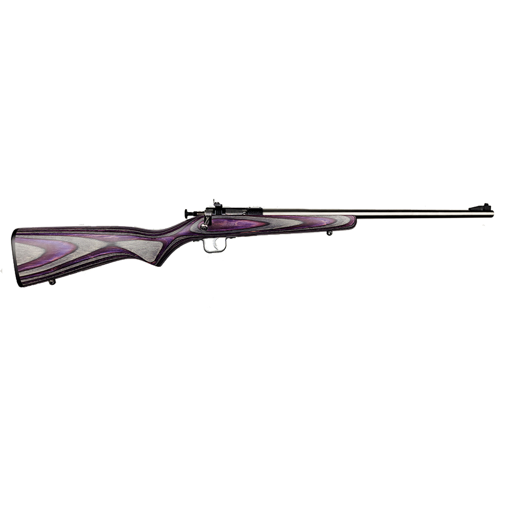 Keystone Crickett .22LR Stainless Youth Rifle