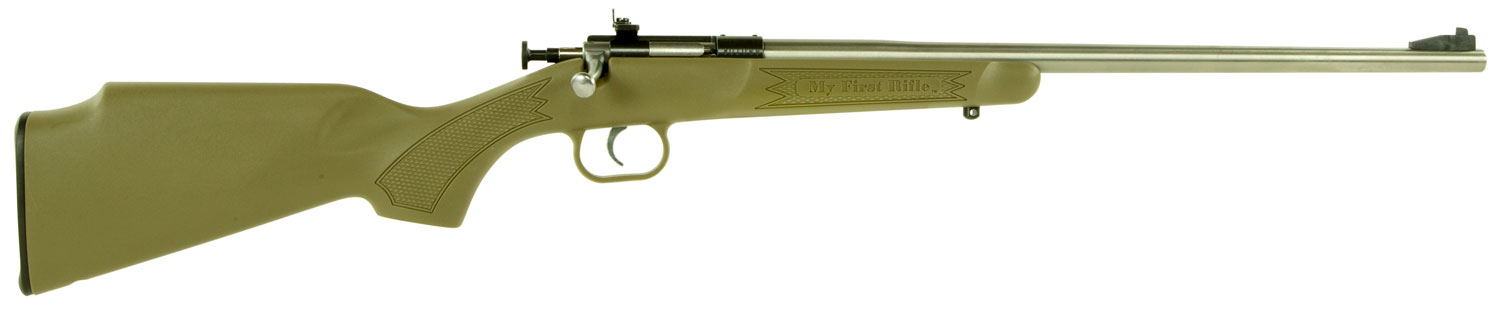 Davey Crickett .22LR Stainless Youth Rifle