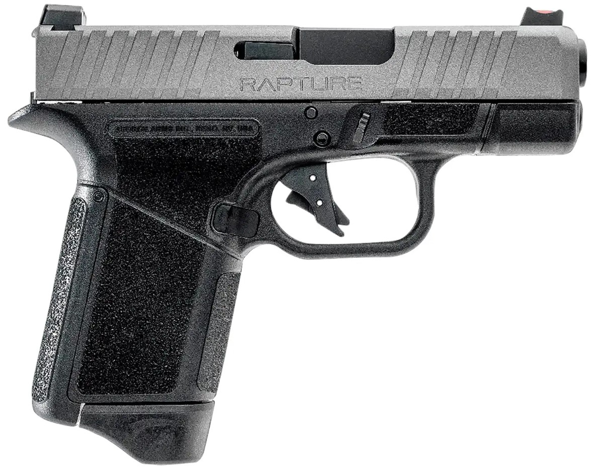 GForce Arms GF9 9mm Semi-Auto Pistol 3.25" Black/Nickel