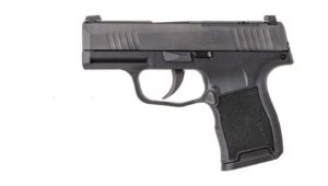 Sig Sauer P365 Micro-Compact .380 ACP Pistol with Night Sights