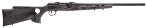Savage A22 Target Thumbhole .22 LR Semi-Auto Rifle