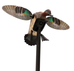 Mojo Outdoors HW24743P Elite Series Green Winged Teal Duck Species Natural Molded Plastic Features Remote Compatible