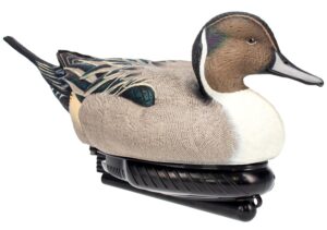 AVIAN AVX-PSW-PNSW  POWER SWIMMER PINTAIL DRAKE