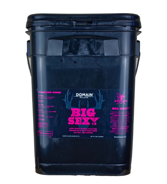 DOMAIN BSFP34 BIG SEXY