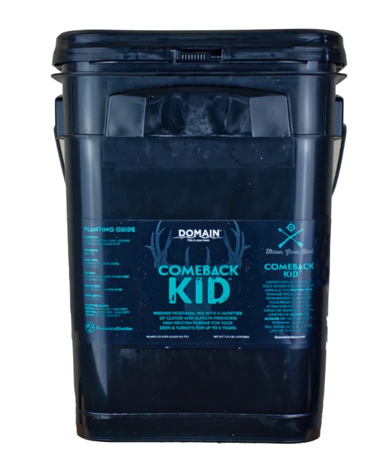 DOMAIN CBKFP375 COMEBACK KID