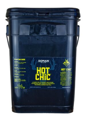 DOMAIN HCFP34      HOT CHIC