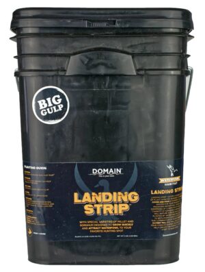 DOMAIN LSFP5       LANDING STRIP
