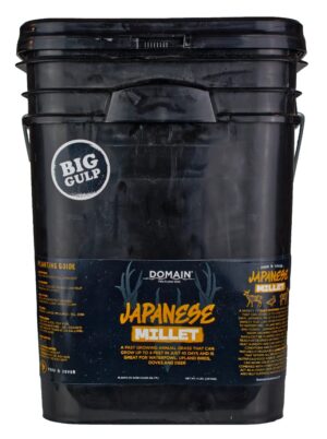 DOMAIN DJMS4LB     JAPANESE MILLET