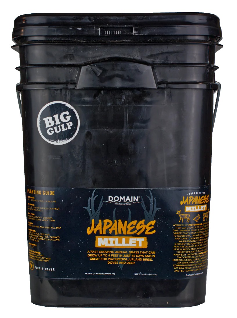 DOMAIN DJMS4LB JAPANESE MILLET