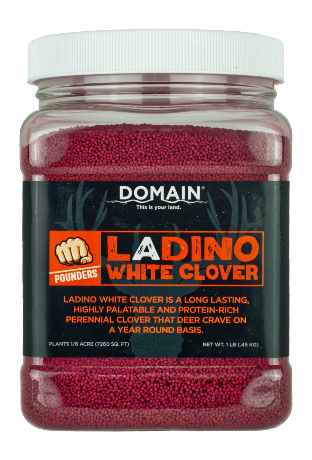 DOMAIN DLWCS1LB LADINO WHITE CLOVER