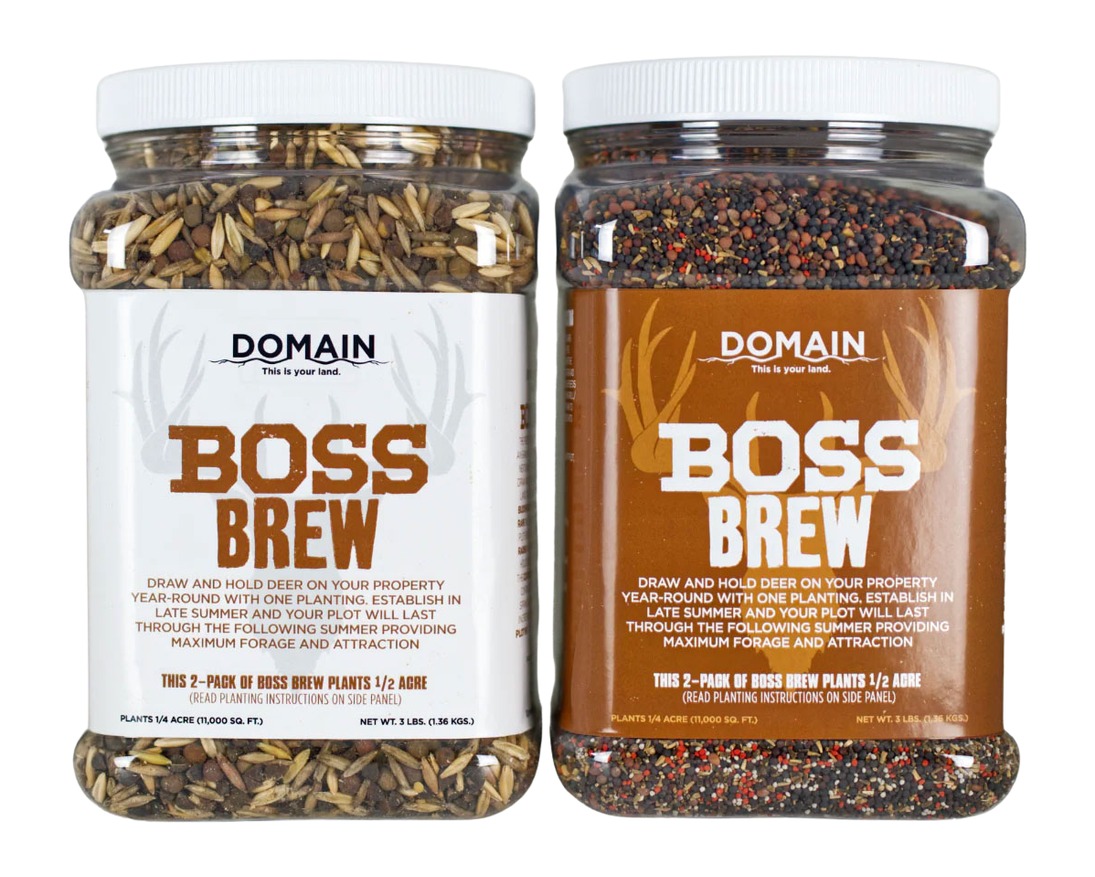 DOMAIN BBFP6 BOSS BREW
