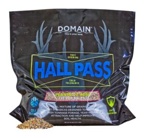 DOMAIN HPFP20      HALL PASS